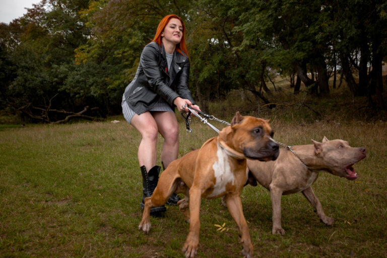 Beautiful young woman in a leather jacket and heavy boots strolling with two American Staffordshire pit bulls in strict collars. Strong woman holds dogs on a leash, dynamic shots, angry dogs barking